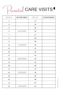 7 FREE Printables For A More Organized Pregnancy - Damn Good Mom