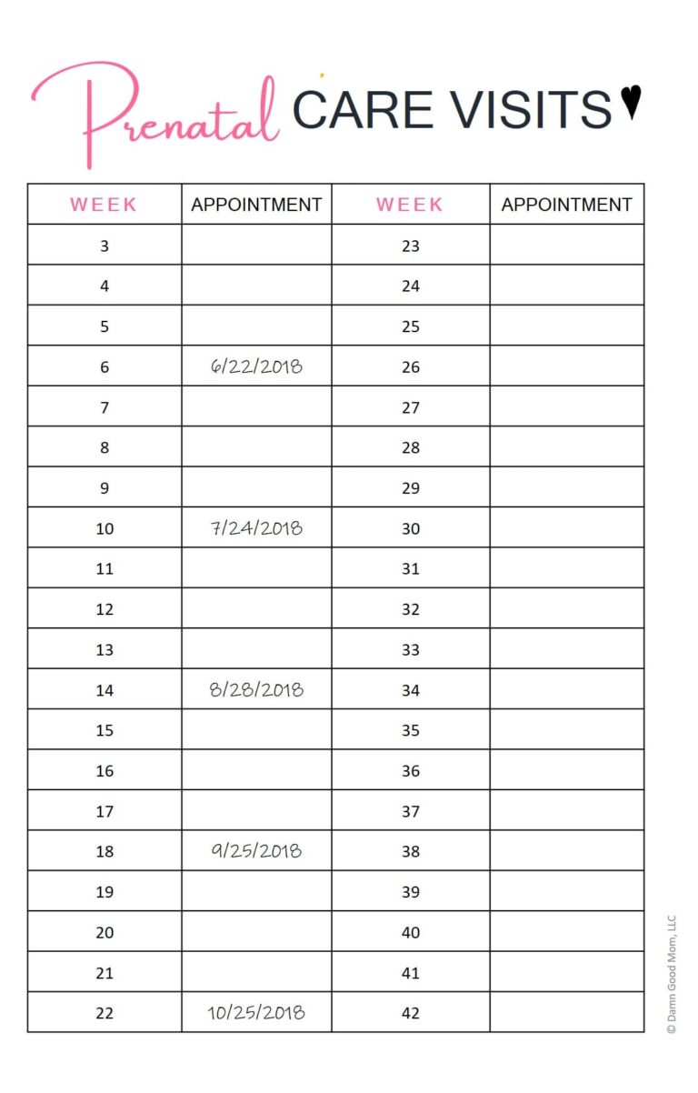 7 FREE Printables For A More Organized Pregnancy - Damn Good Mom