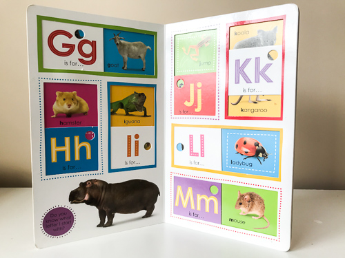 Ways to teach the alphabet with books