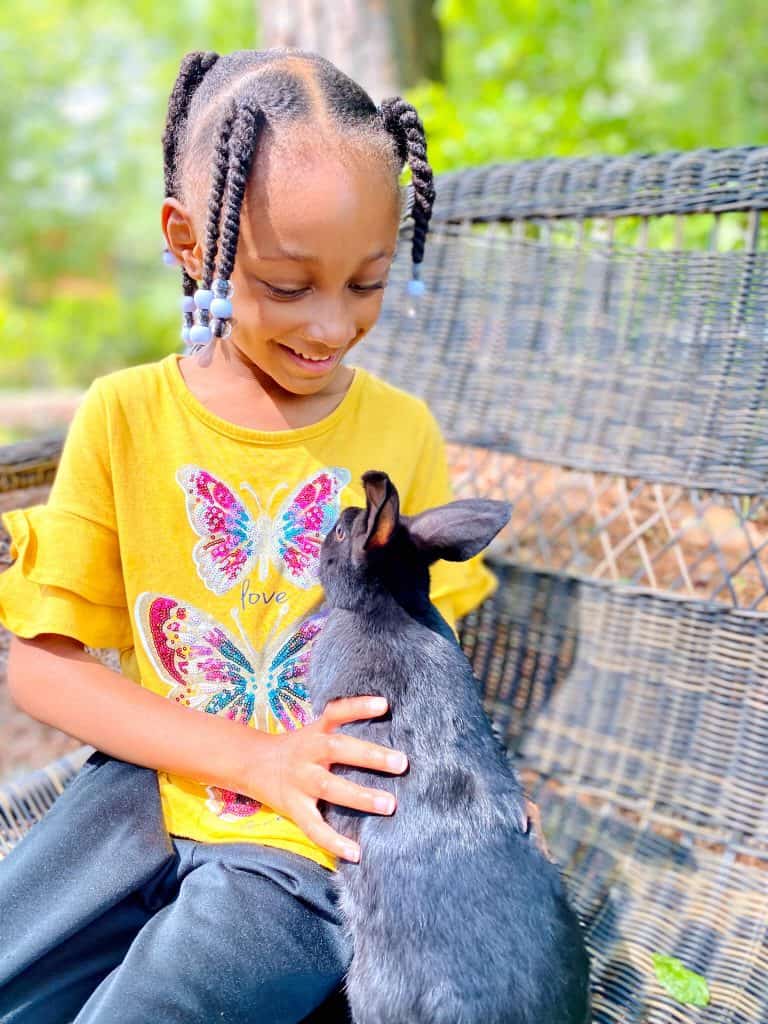 A girl holding a black bunny at The Shaggy Donkey program at Marie Farm